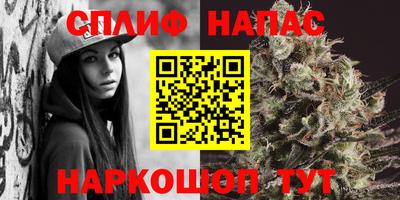 гидропоника Бугуруслан